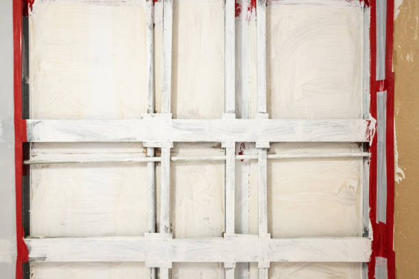 Forensic Mold Investigation in New Palestine, IN